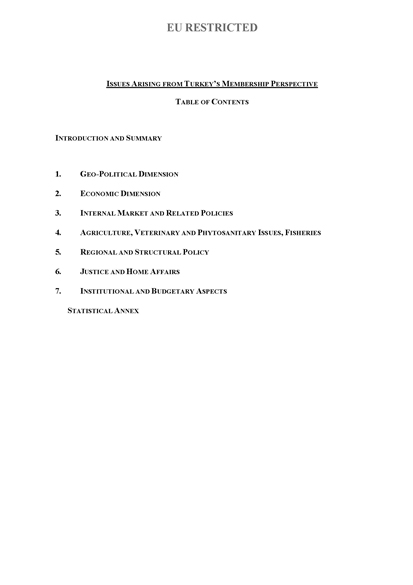 issues_paper_en issues_paper_en